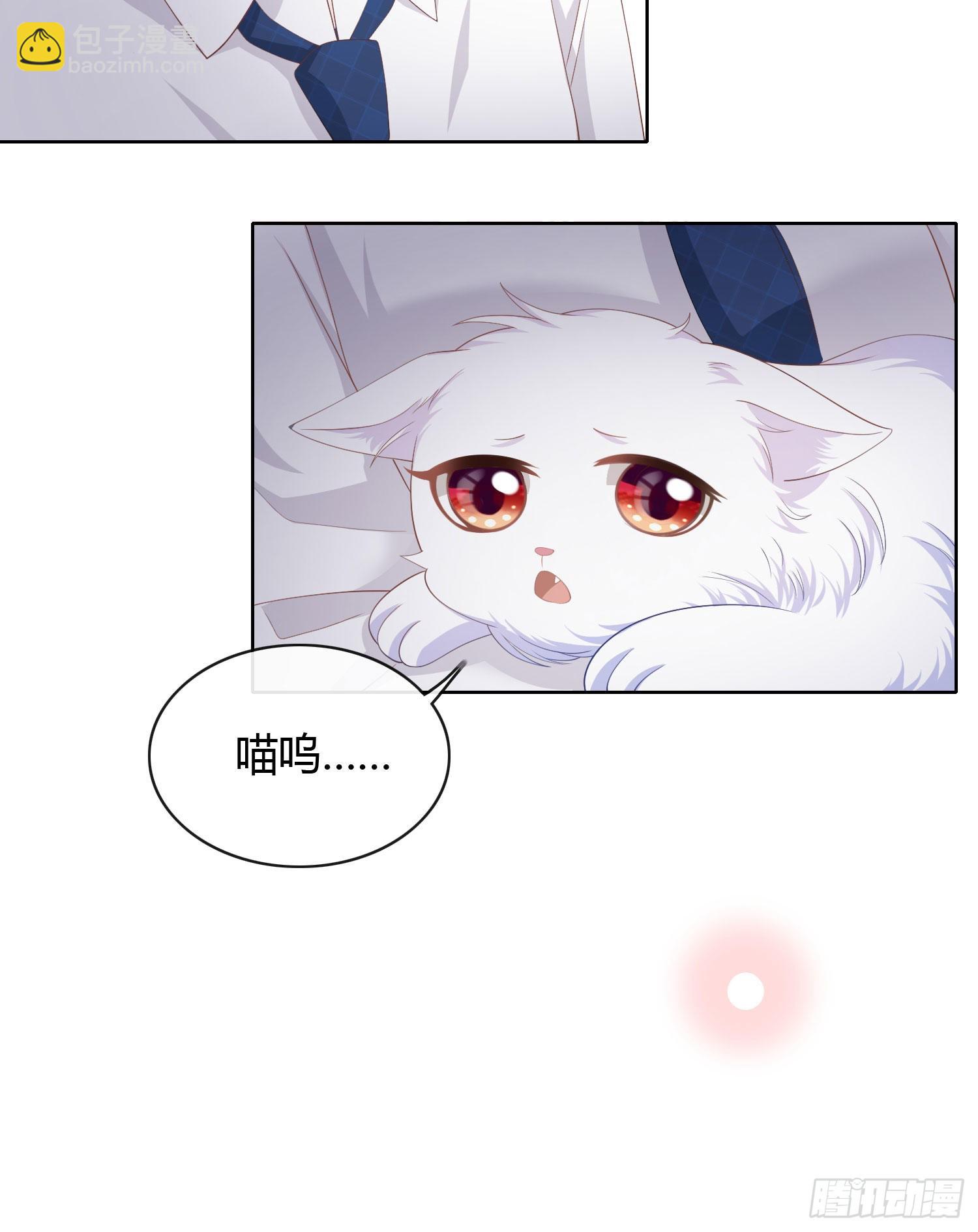 绿茶终结者-第14话