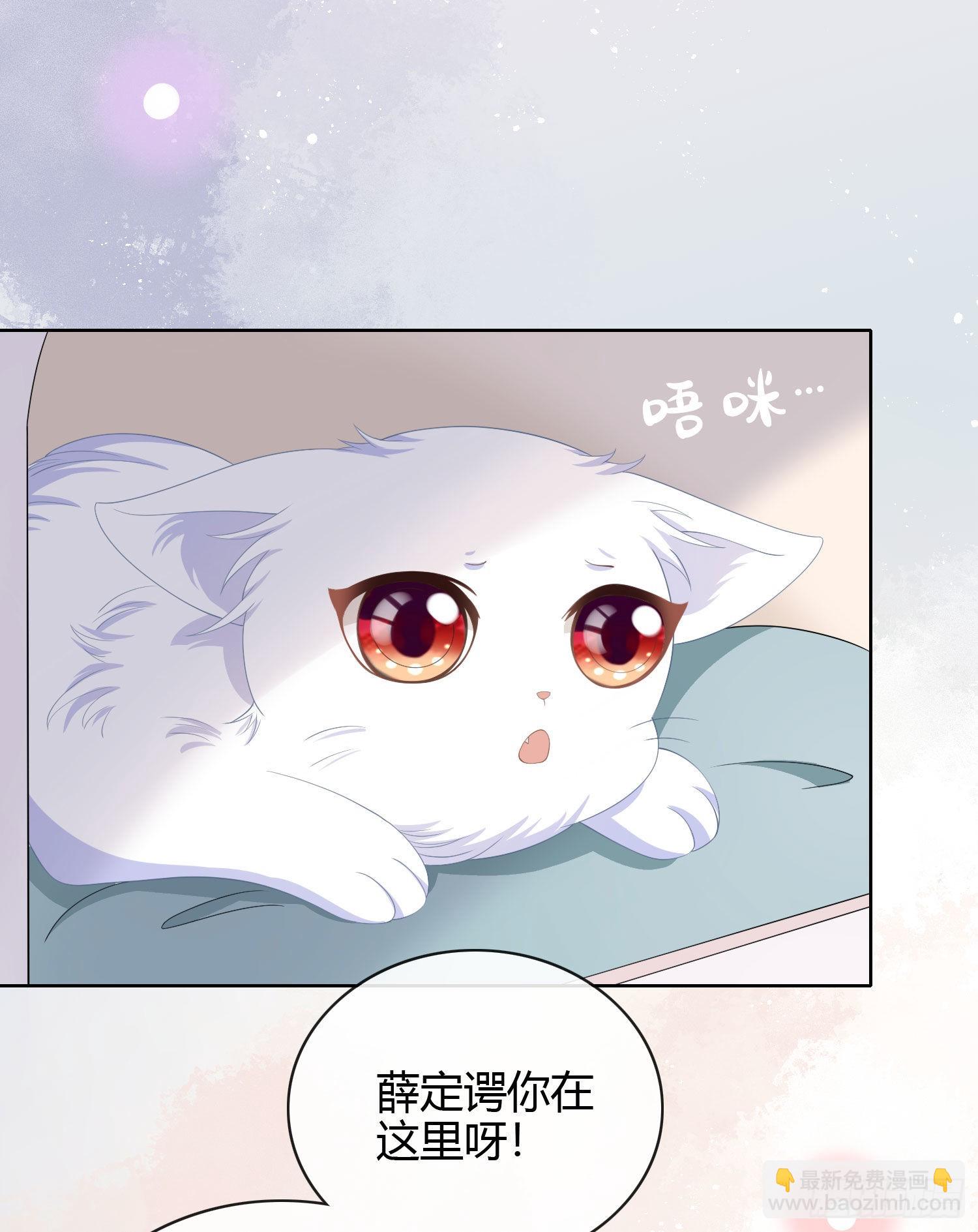 绿茶终结者-第14话