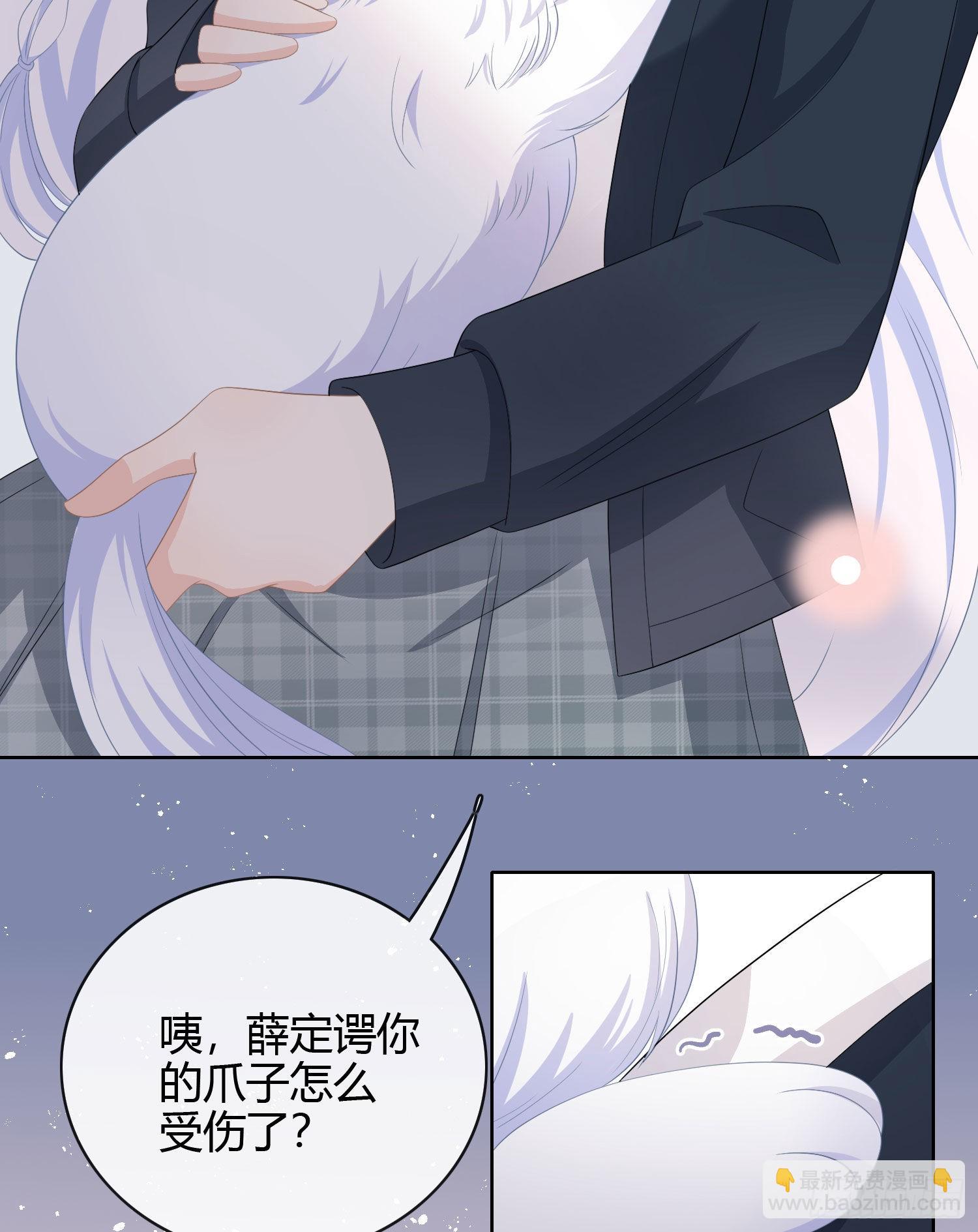 绿茶终结者-第14话
