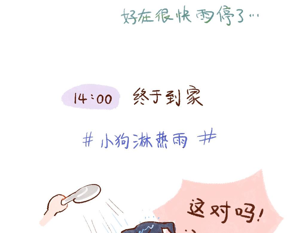 115 纯享生活本身-第116话