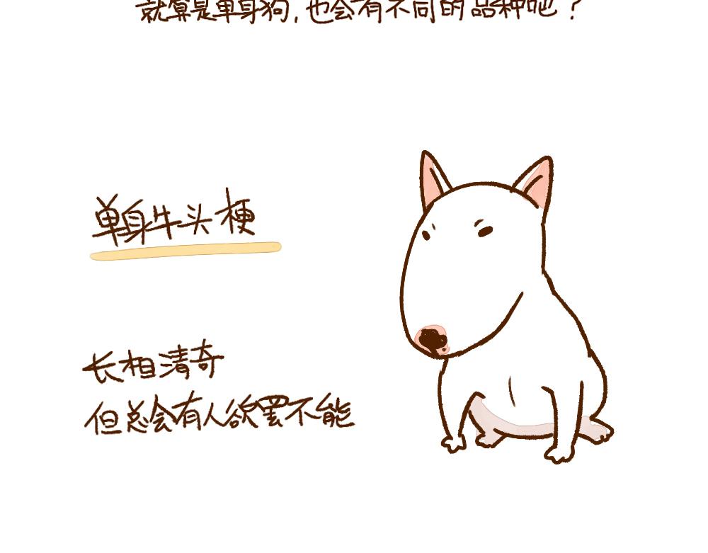 003 假如单身就是狗&hellip;&hellip;-第4话