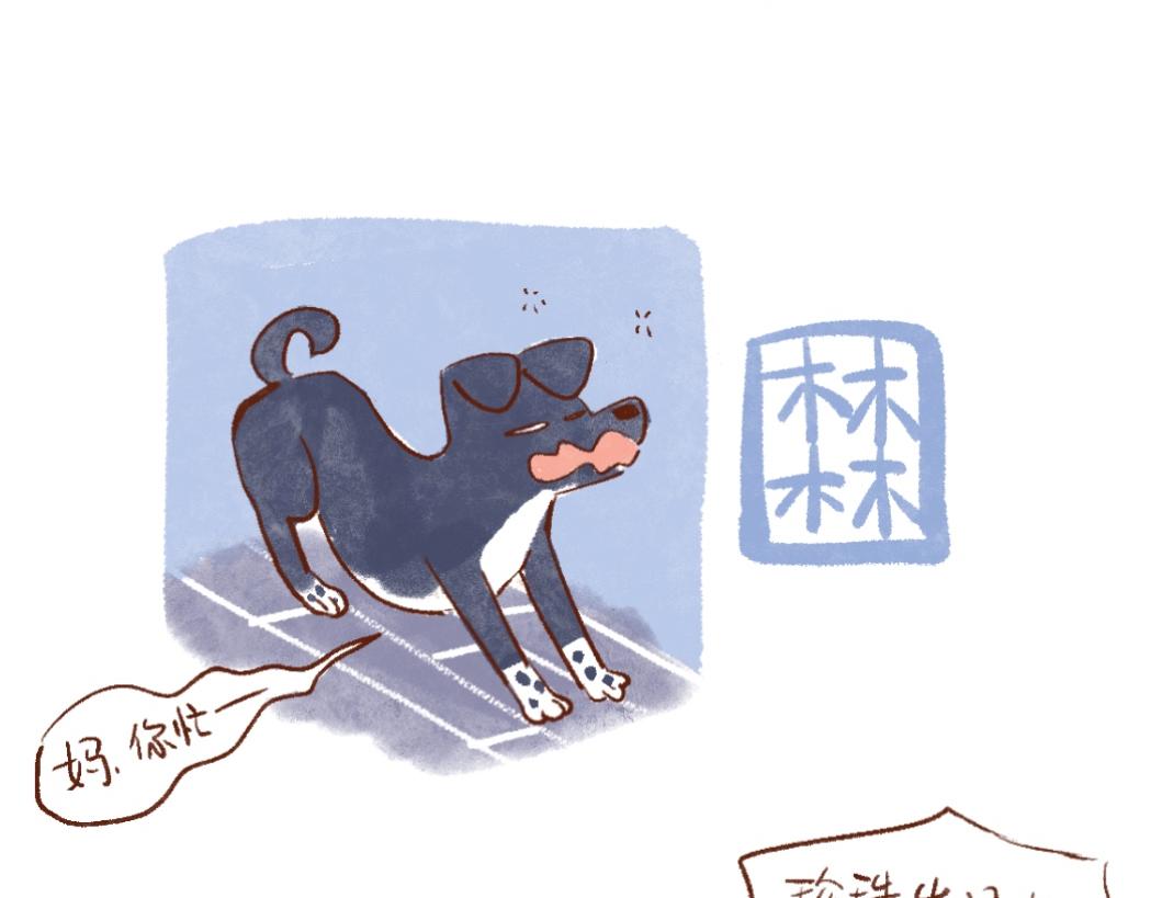 093 小狗去海边旅游啦！-第94话