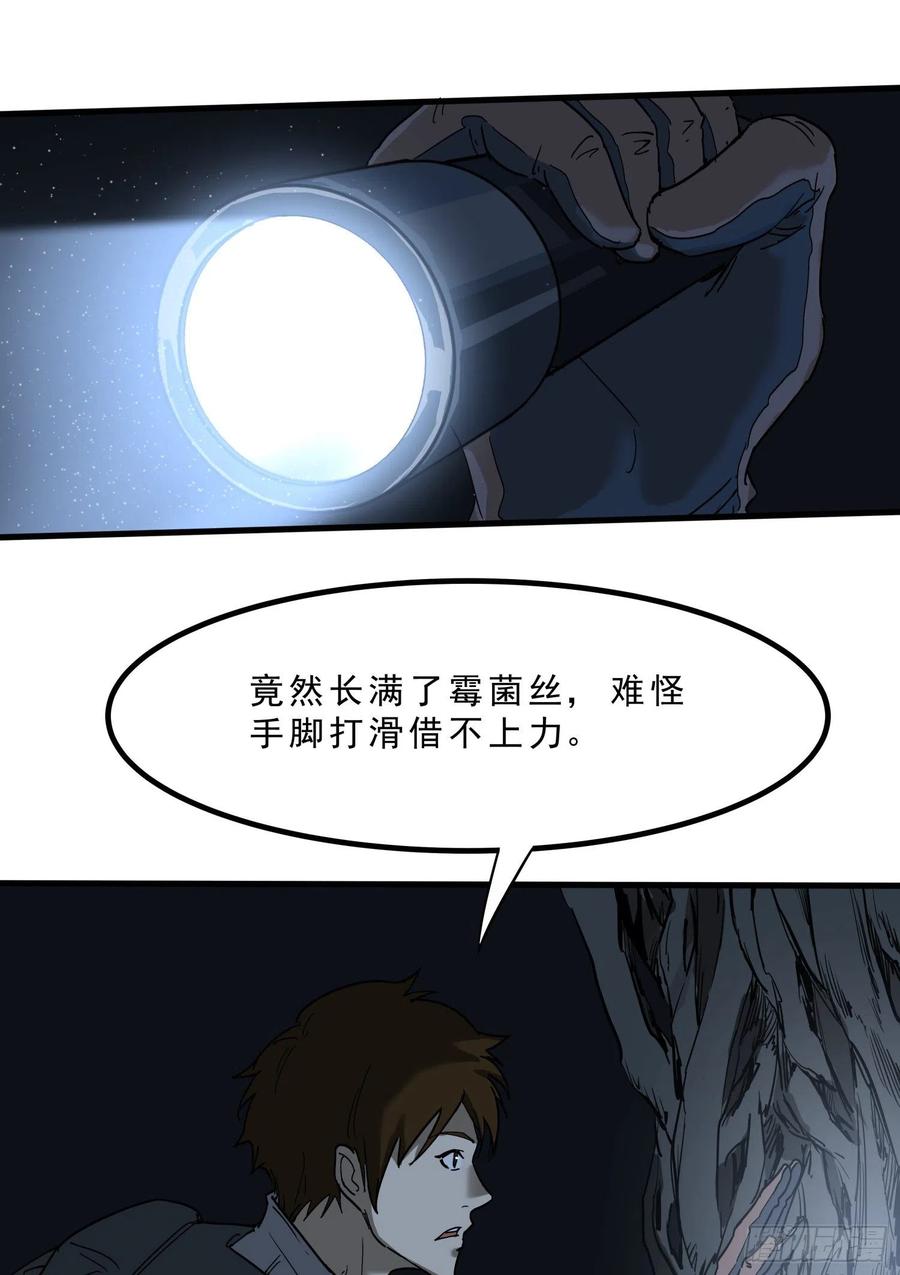 41.迷雾-第44话