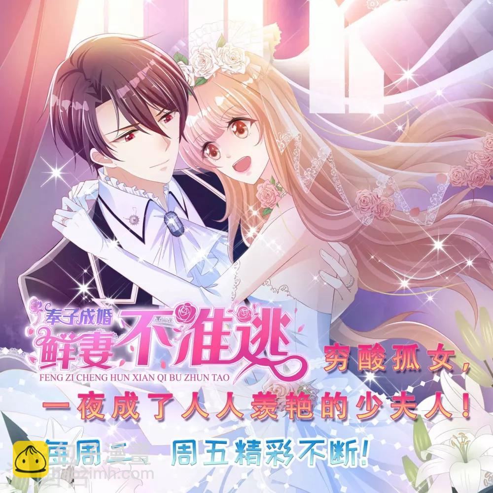 第43话 超级章鱼-第48话