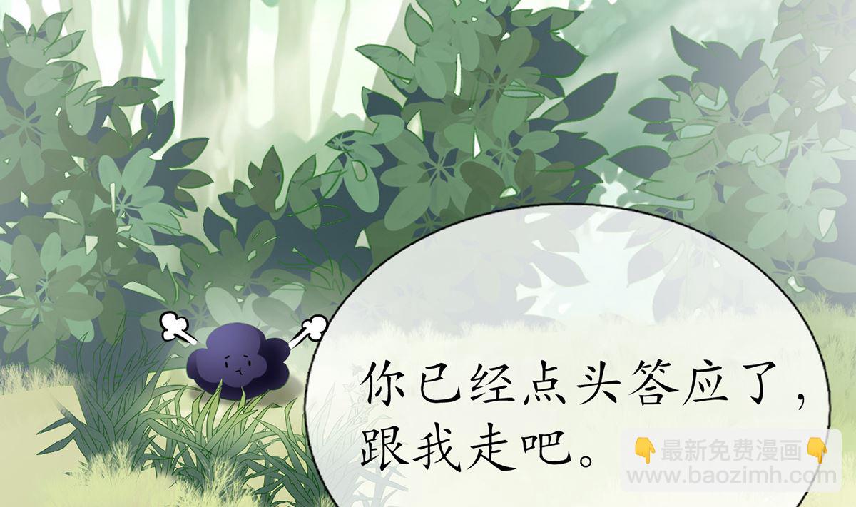 第11话 仙师，手别乱摸(1/2)-第12话