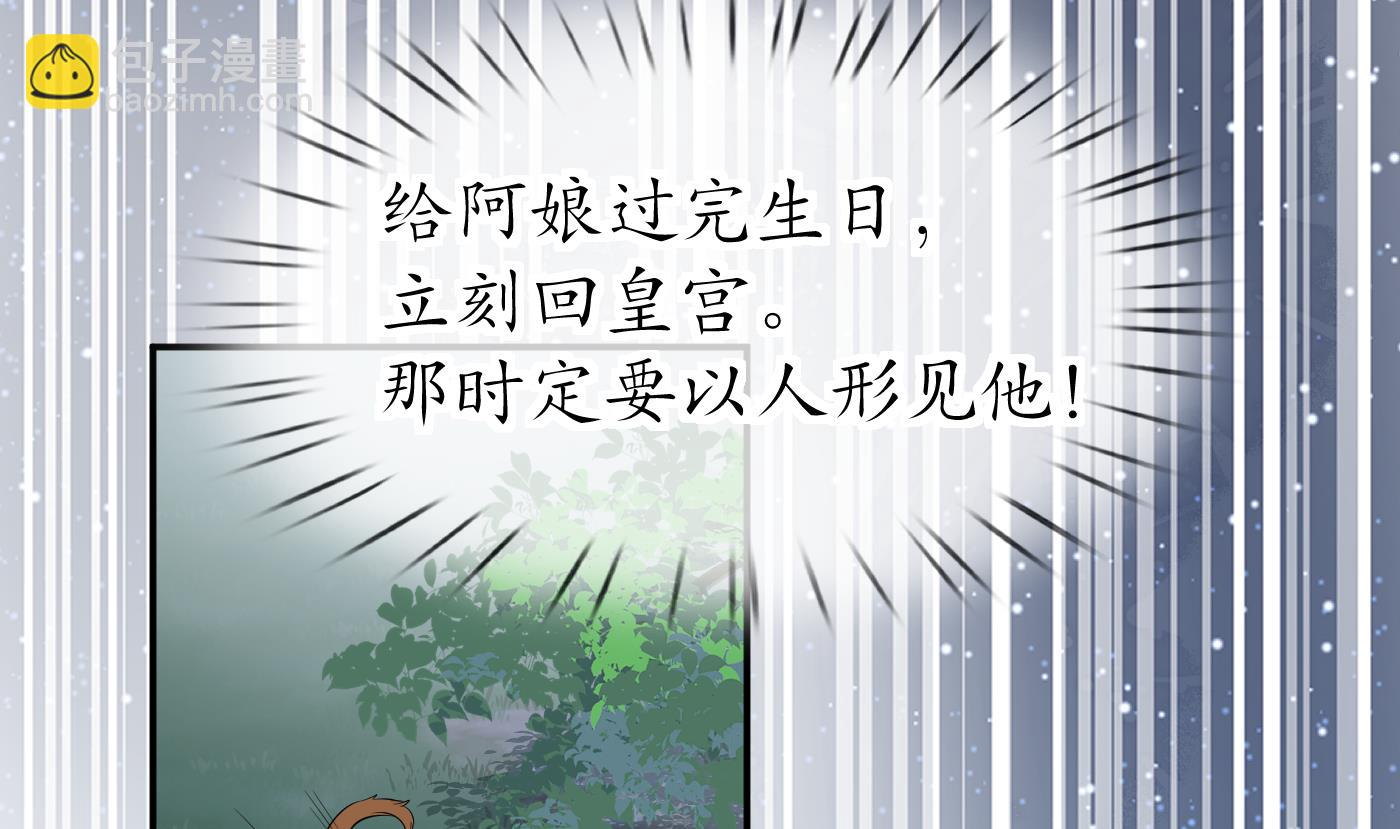 第75话 被动物占便宜了(1/2)-第76话
