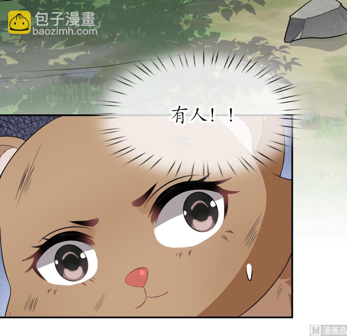 第75话 被动物占便宜了(1/2)-第76话