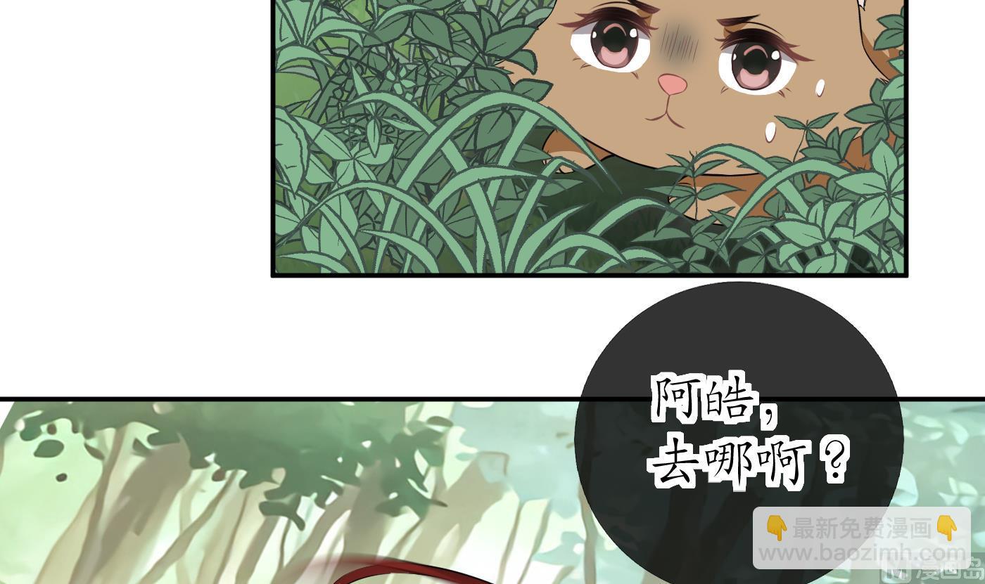 第75话 被动物占便宜了(1/2)-第76话