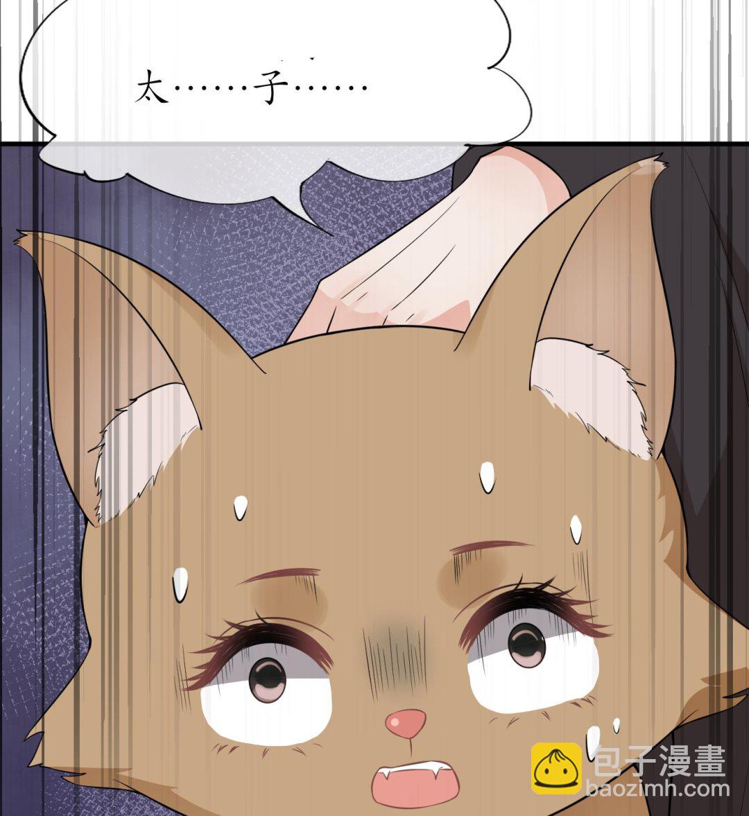 第75话 被动物占便宜了(1/2)-第76话