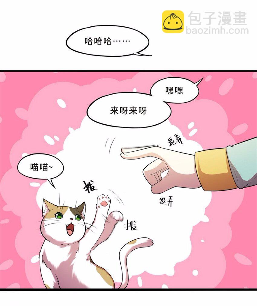043 养猫（三）-第50话