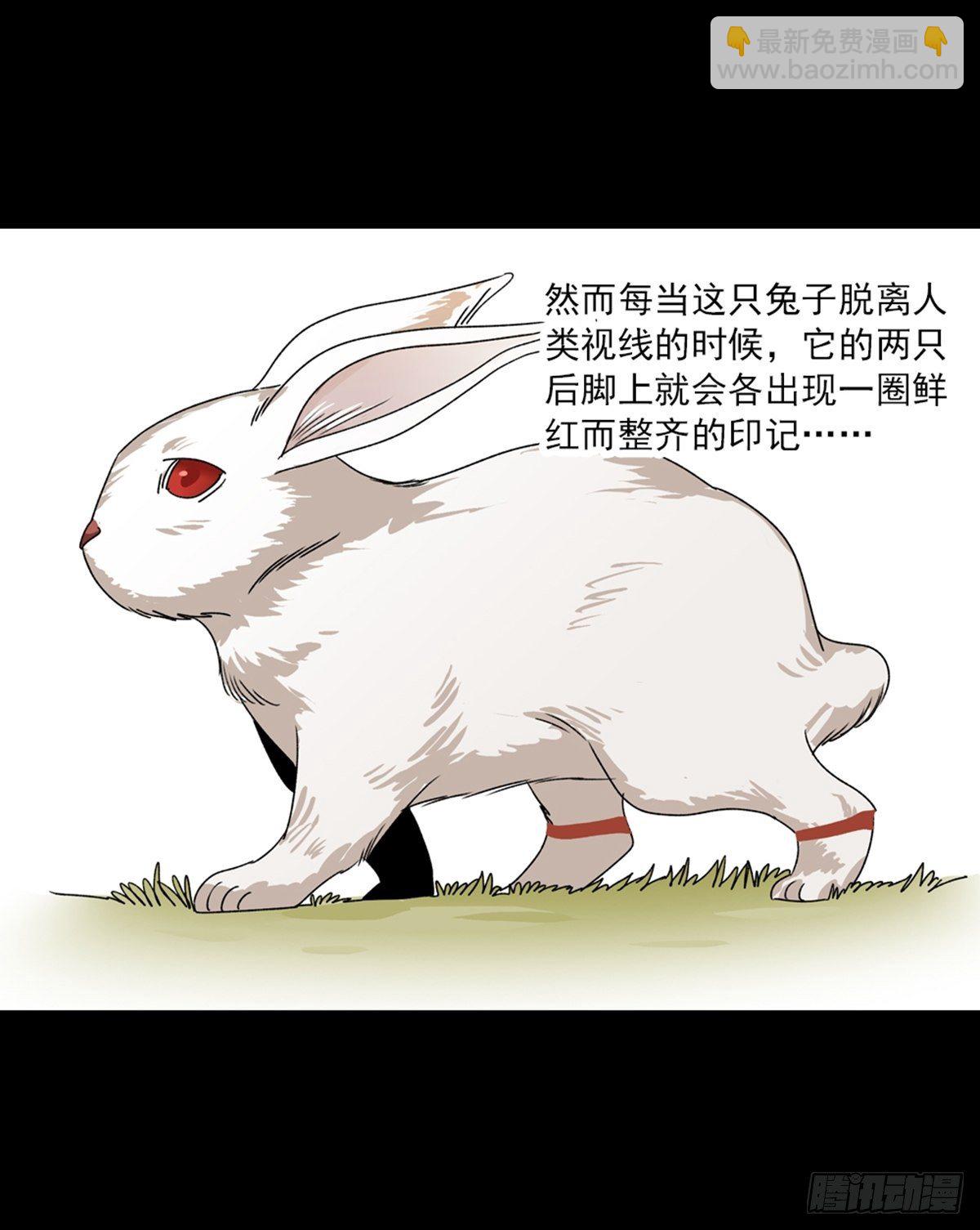 79-第80话