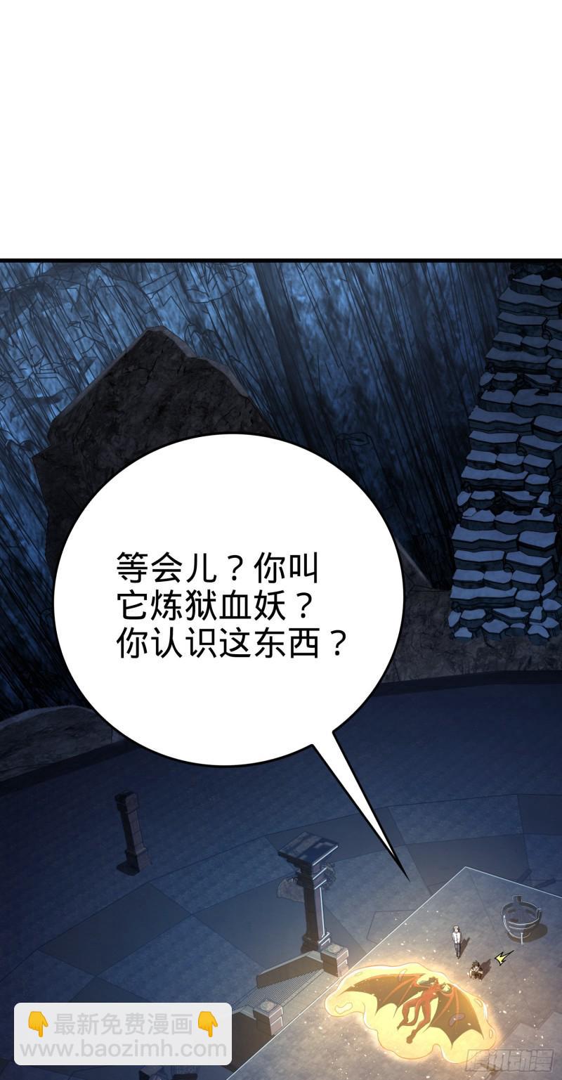 🍼大王饶命 175 B级具现系 第2页
