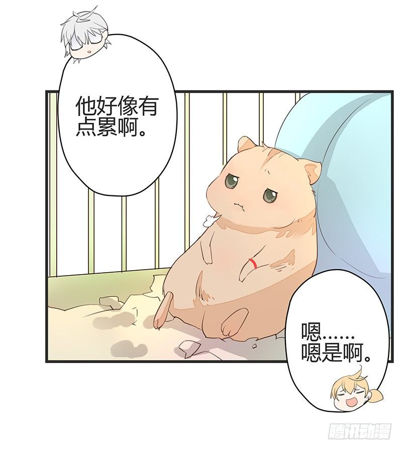 又见面了呢&hellip;&hellip;-第14话