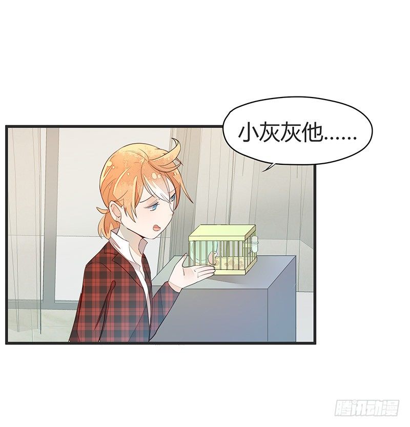 又见面了呢&hellip;&hellip;-第14话