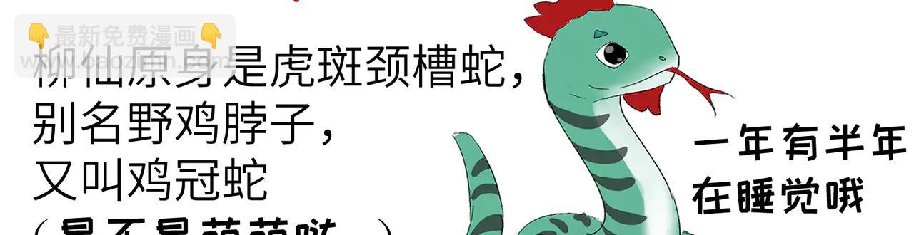 后记-第44话