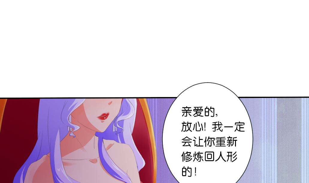 第28话 肉包的前世今生-第28话