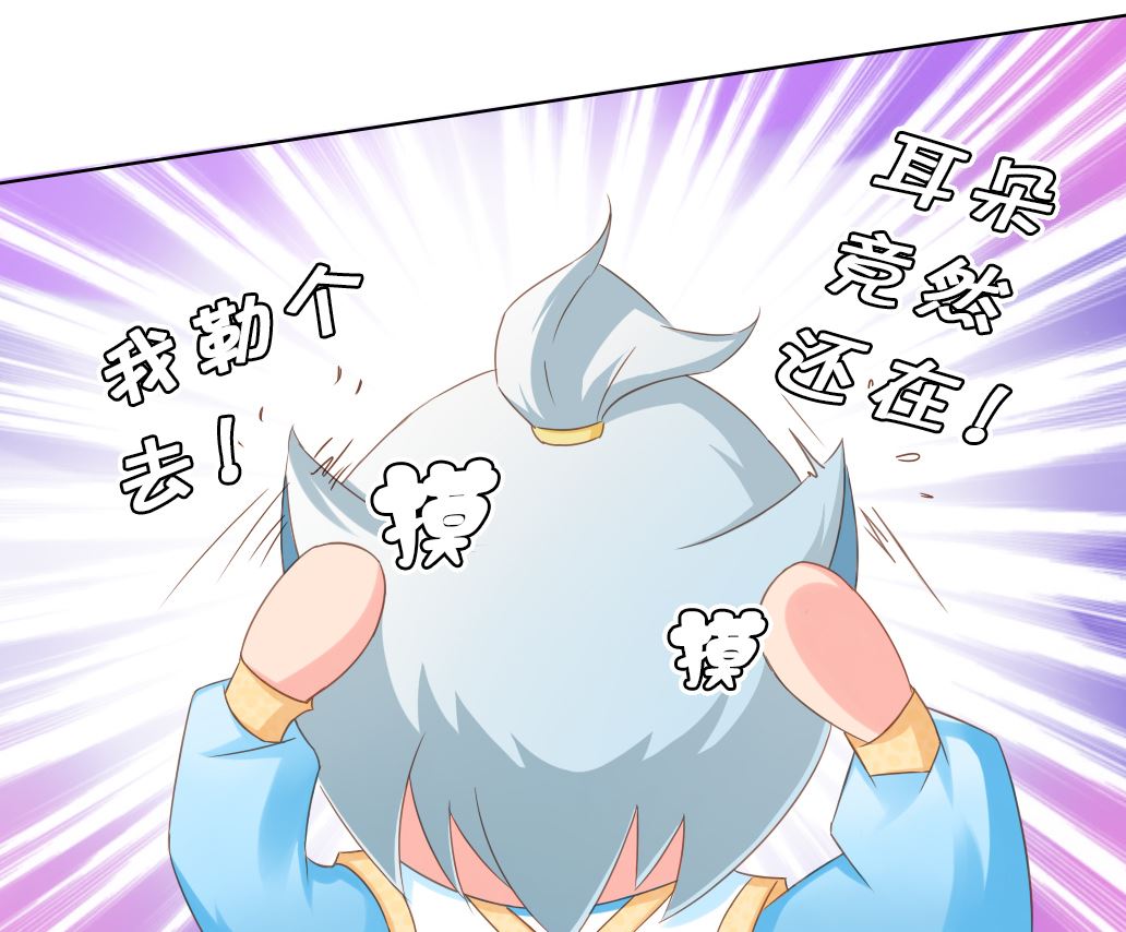 第28话 肉包的前世今生-第28话