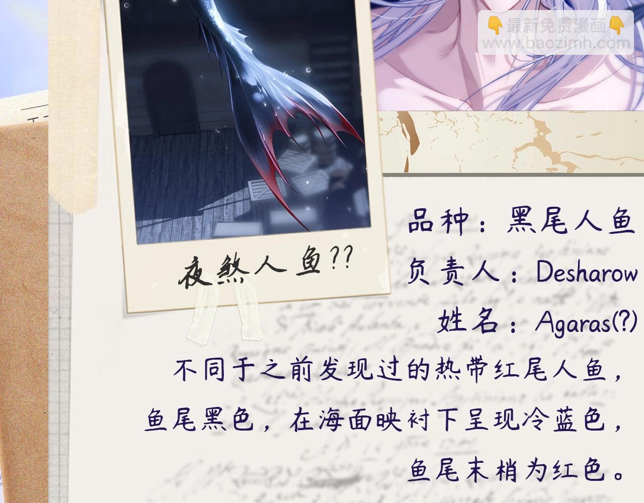 第4期  小档案：人鱼的机密档案？-第24话