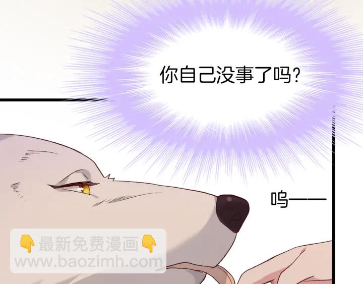 第63话 毒药猫(1/2)-第70话