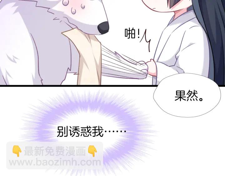 第63话 毒药猫(1/2)-第70话