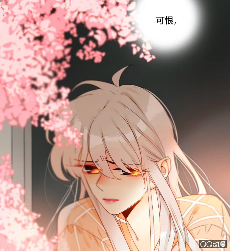 第40话  再起波澜(1/2)-第40话