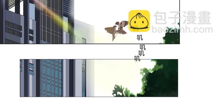 第15话 穿旗袍的女人(1/3)-第16话
