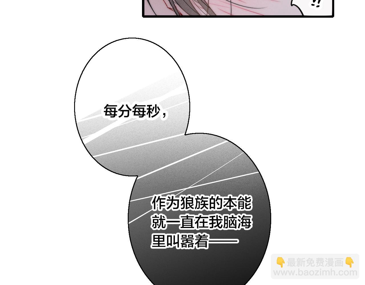 第39话 你是我的选择(1/2)-第42话
