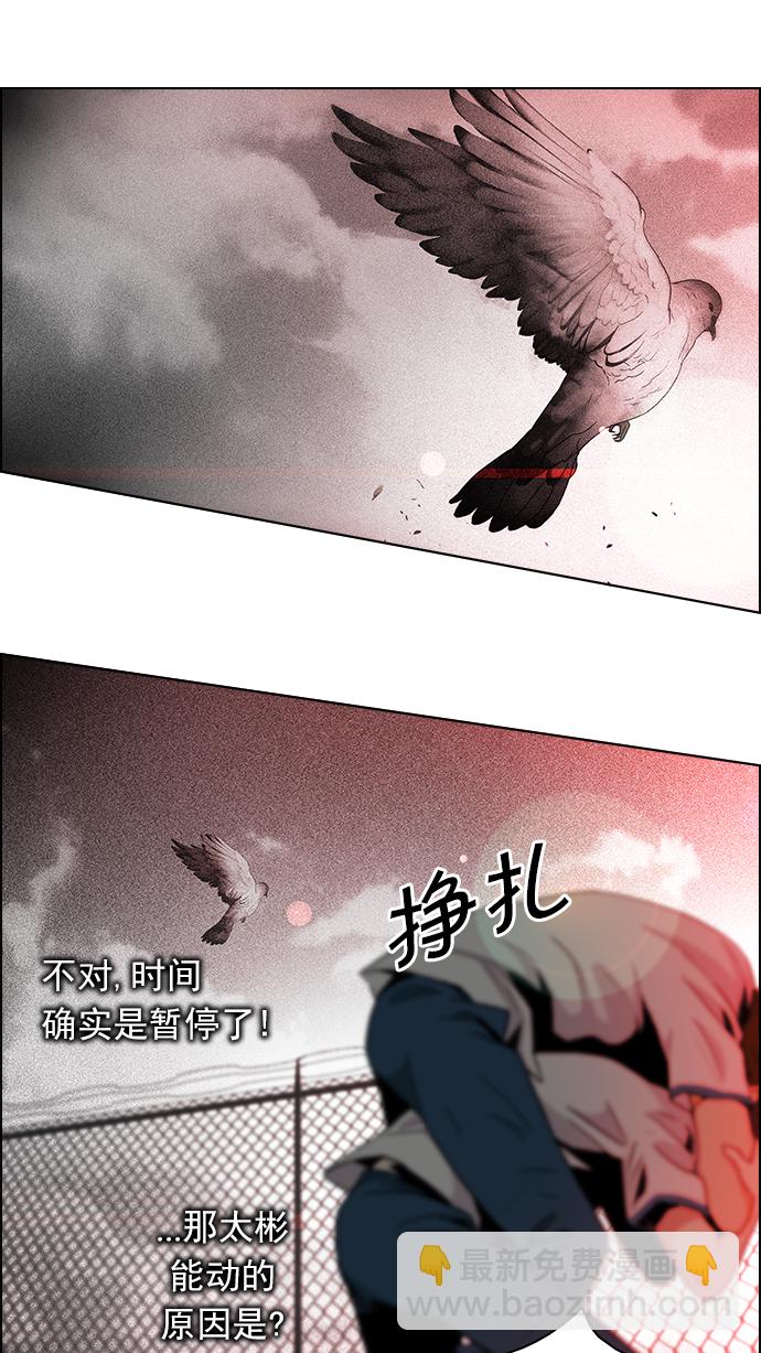 🍼DICE-骰子 [第65话] 1/16（3） 第20页