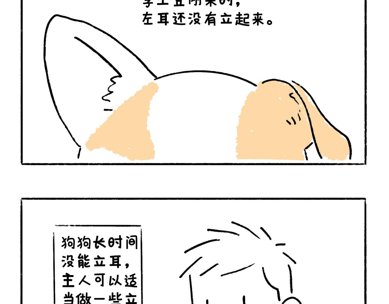 李土豆！就决定是你了！-第2话