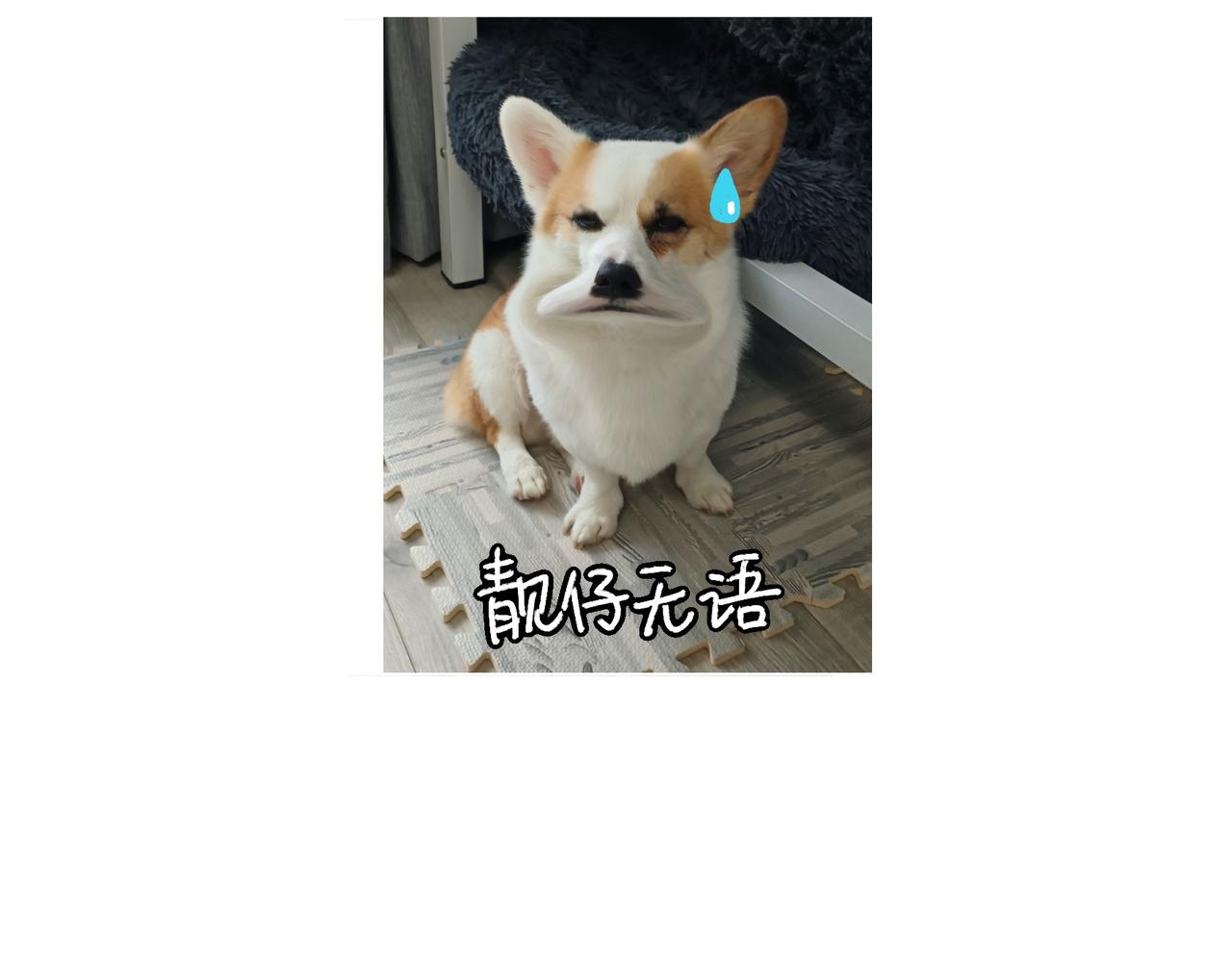 虎年春节篇1-第46话