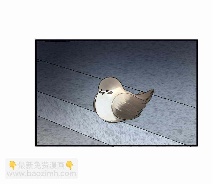 （四十八）狐狸他命苦啊(1/2)-第48话