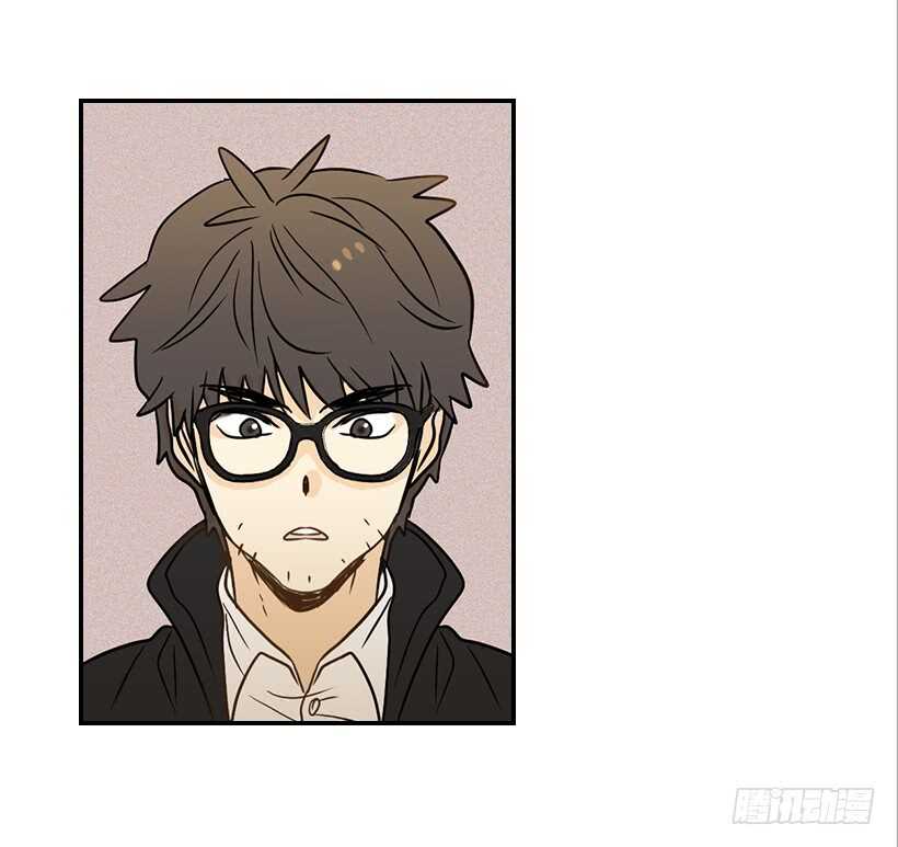 43.狮子还是兔子(1/2)-第44话