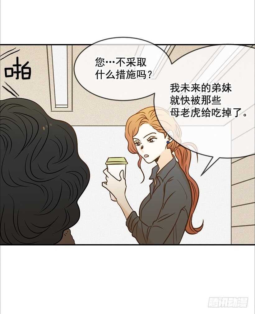 43.狮子还是兔子(1/2)-第44话