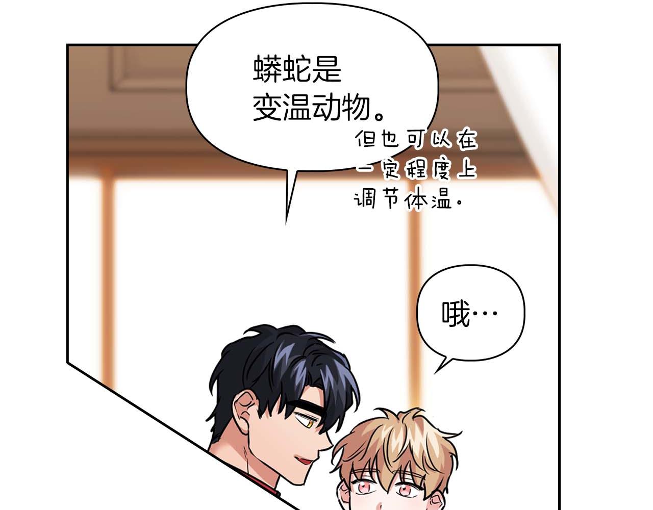 第36话 蹦跶跶的兔子(1/4)-第36话