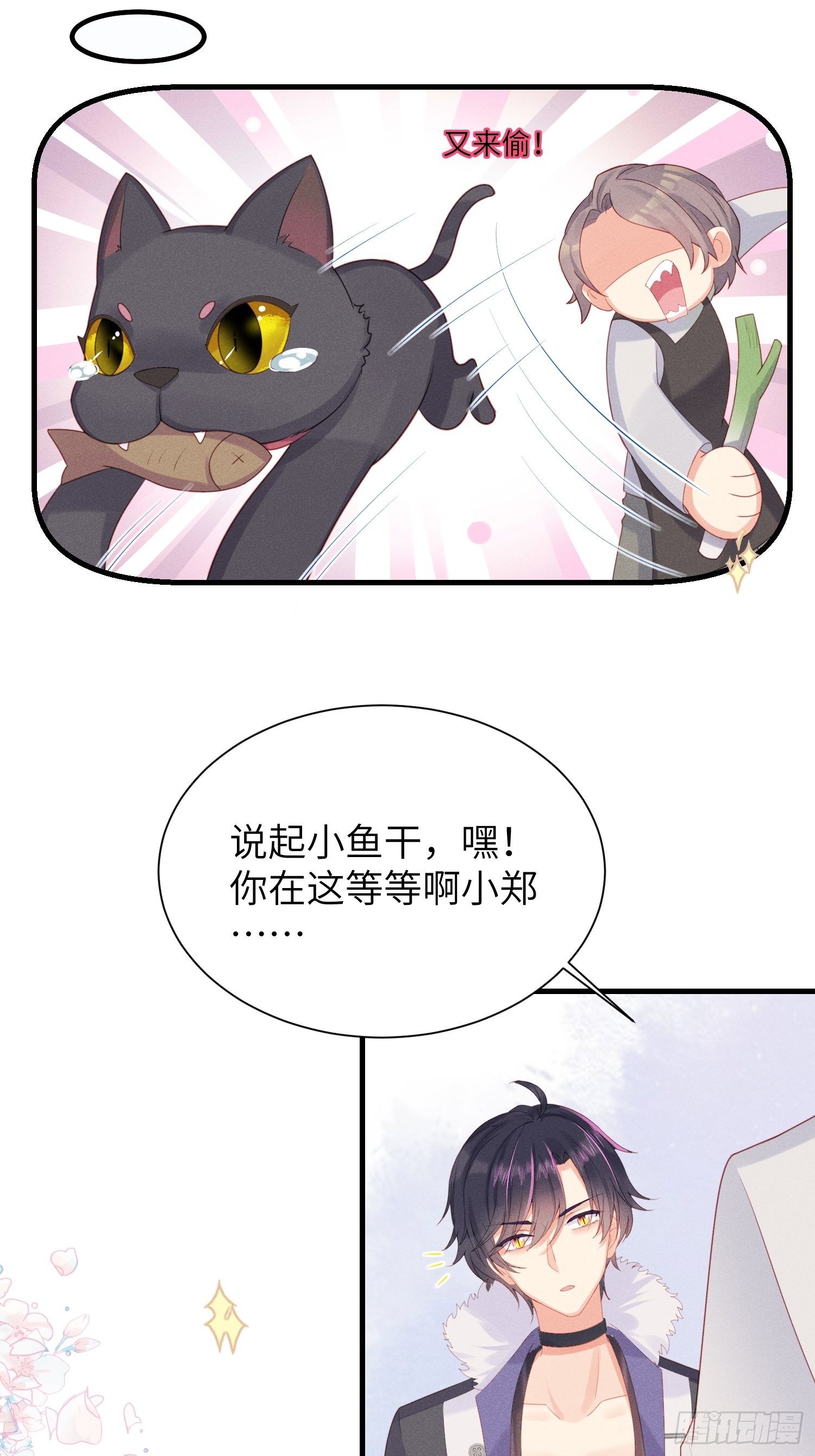 赌上喵的尊严！-第14话