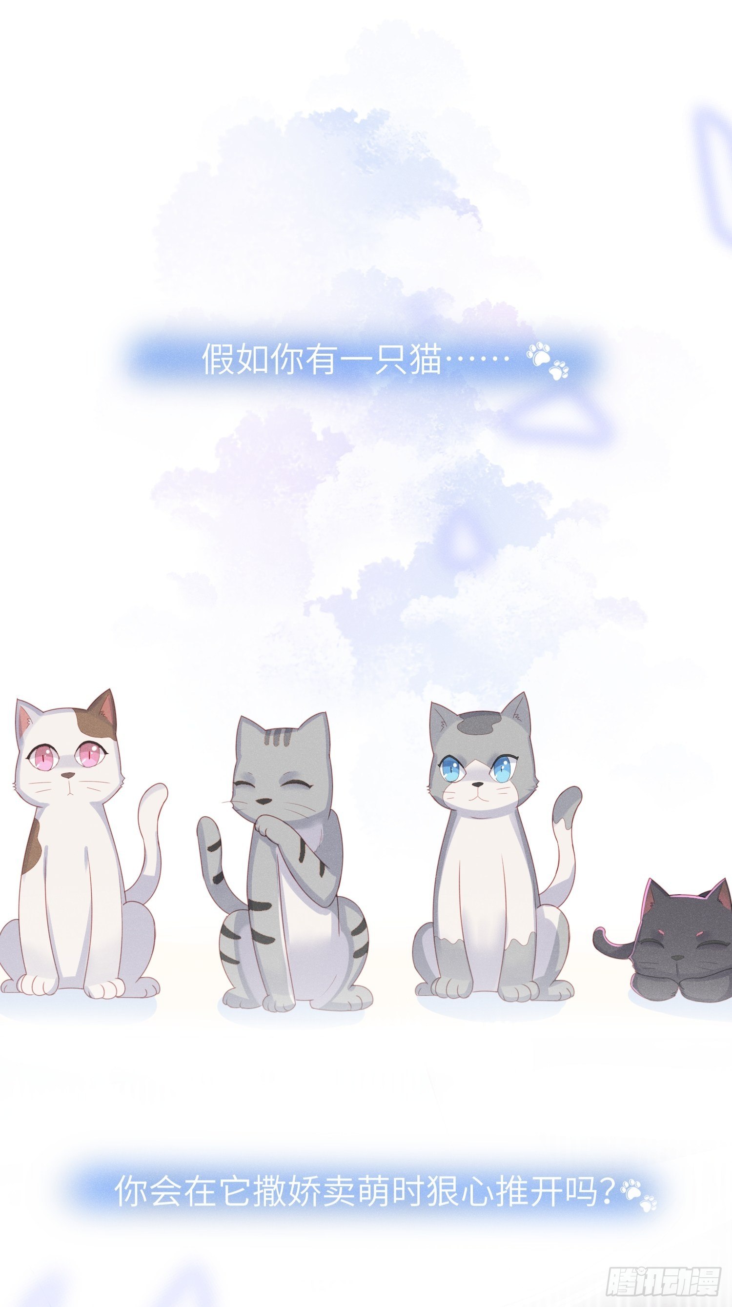 赌上喵的尊严！-第14话