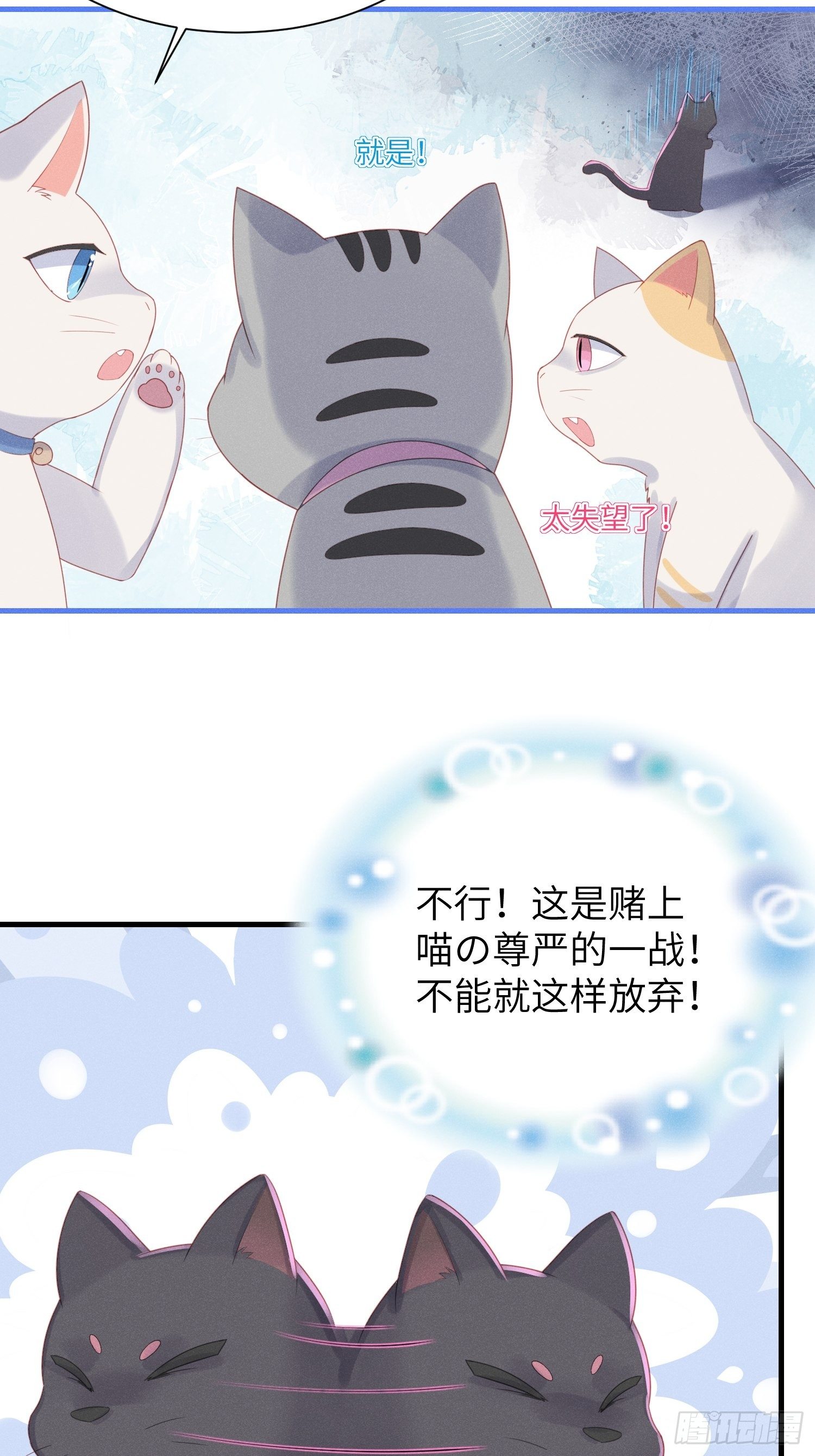 赌上喵的尊严！-第14话
