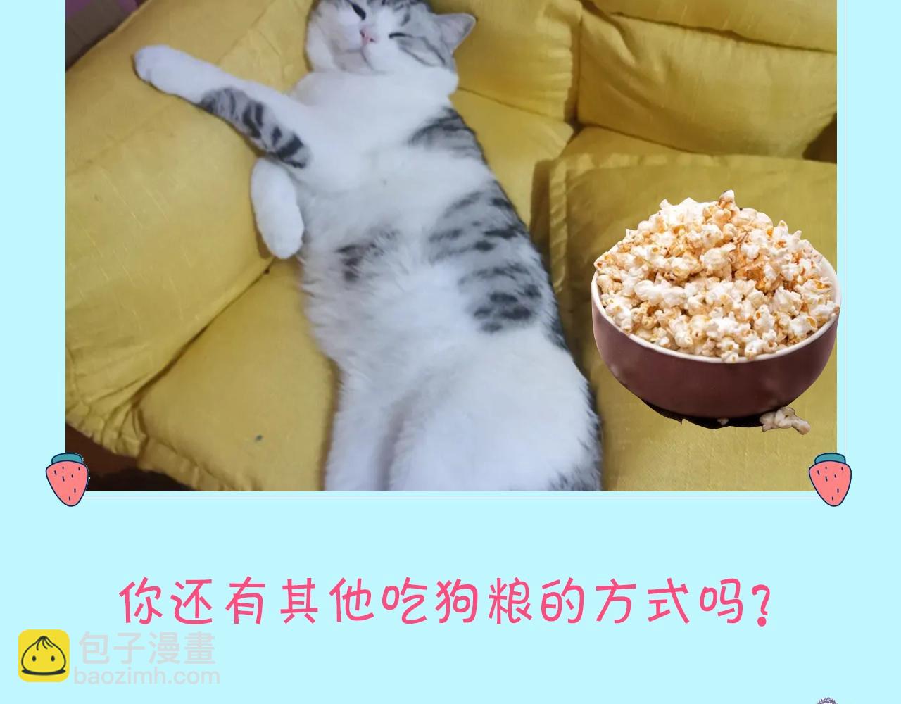 第12期 吃狗粮的正确姿势（日更中）-第46话