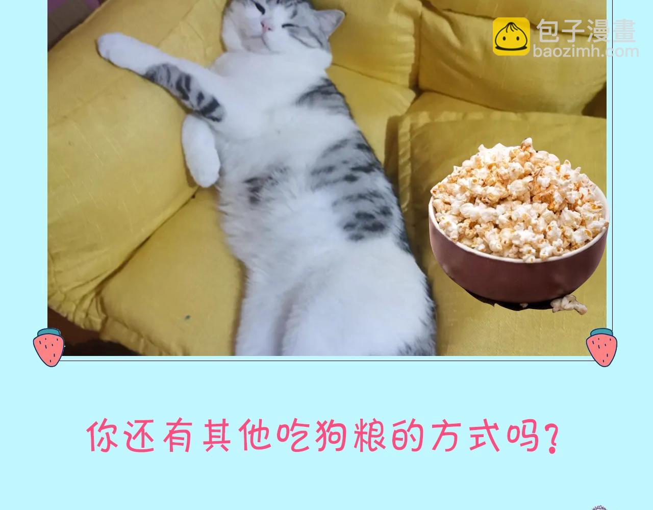 第12期 吃狗粮的正确姿势（日更中）-第46话