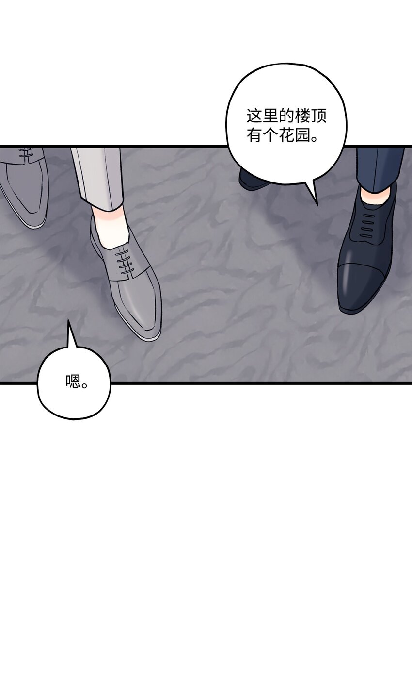 49 回家吧(1/2)-第50话