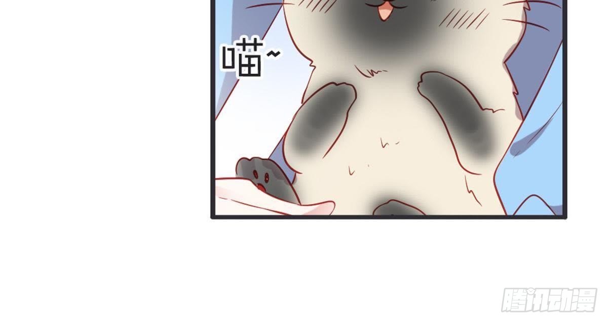 第48话 不一样的公主抱！(1/2)-第50话