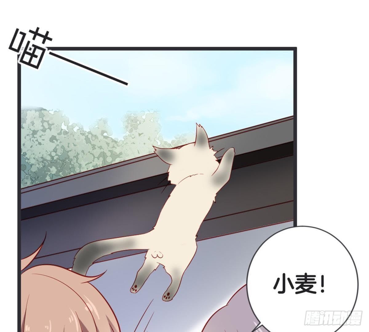 第48话 不一样的公主抱！(1/2)-第50话