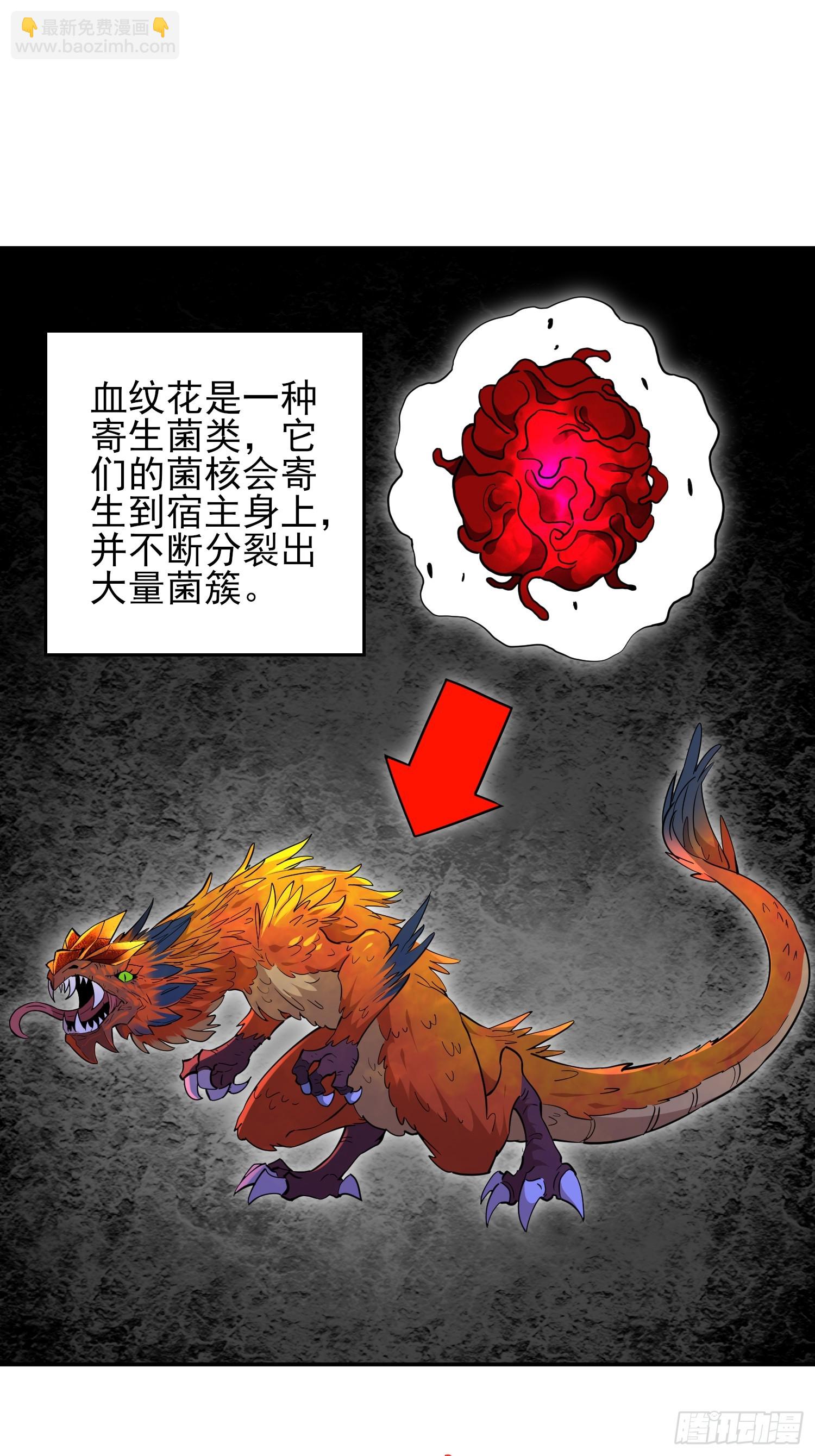 第146话 血纹花-第148话