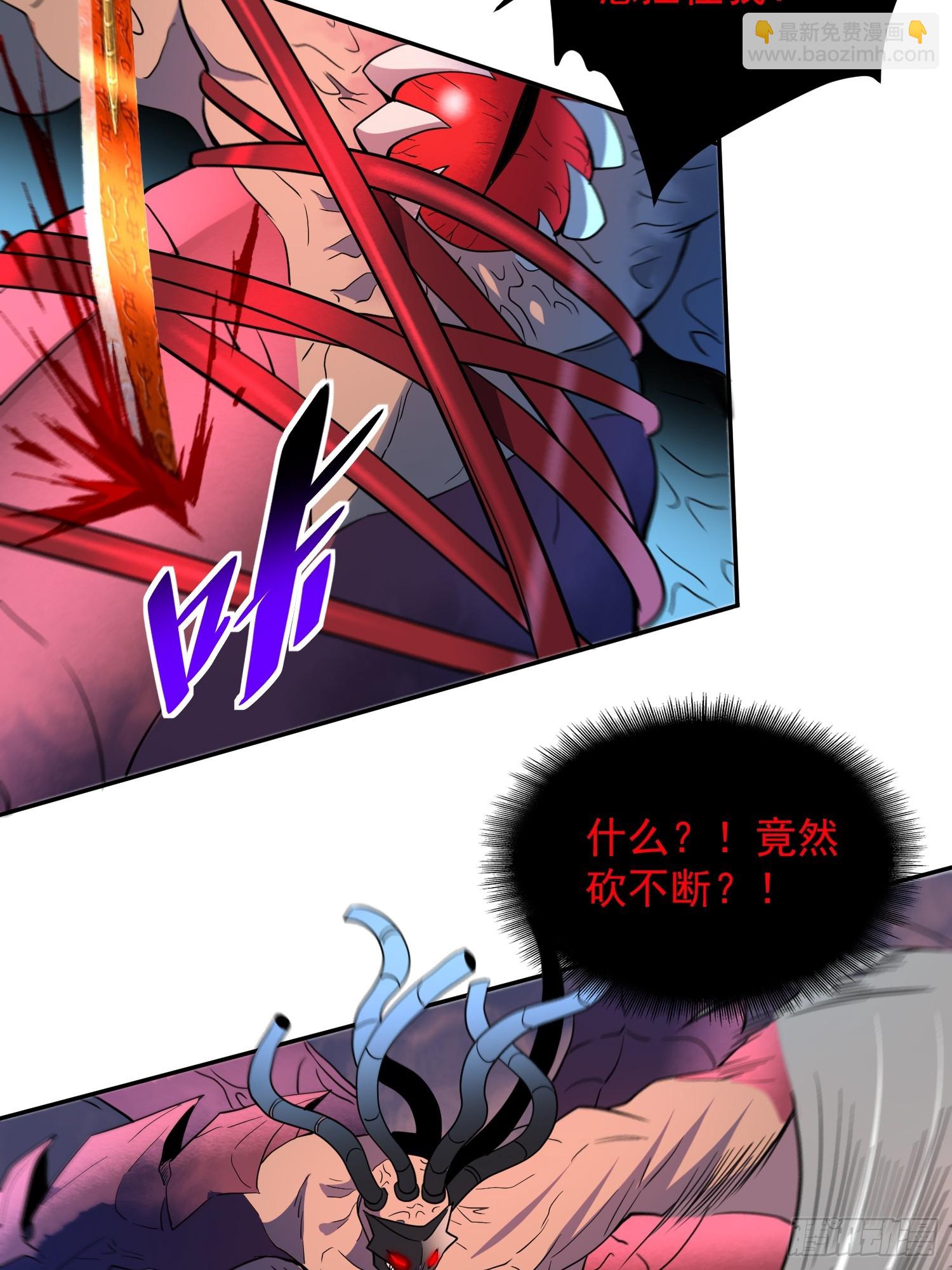 第210话 援军(1/2)-第214话