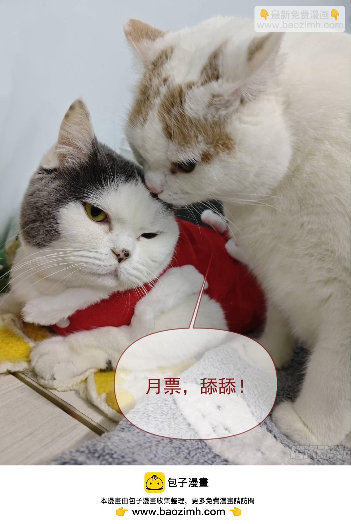 第269话 苏木莲！危！-第274话