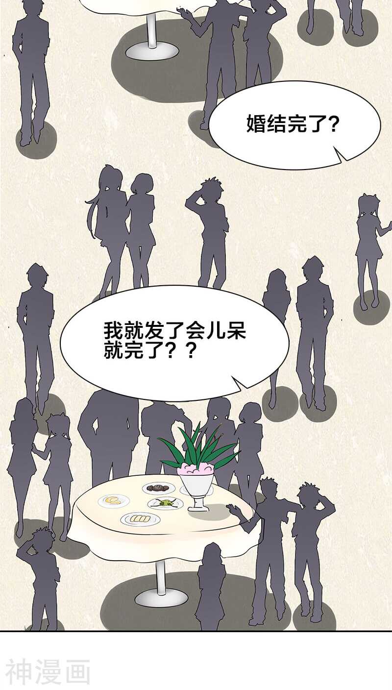 第14话 你就这样对你新婚丈夫？-第14话