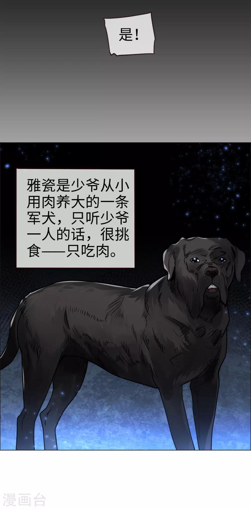 第54话 惊喜的峰回路转-第54话