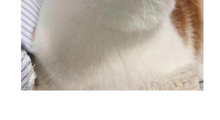 第3话 网红鲜肉营业中！(1/2)-第4话