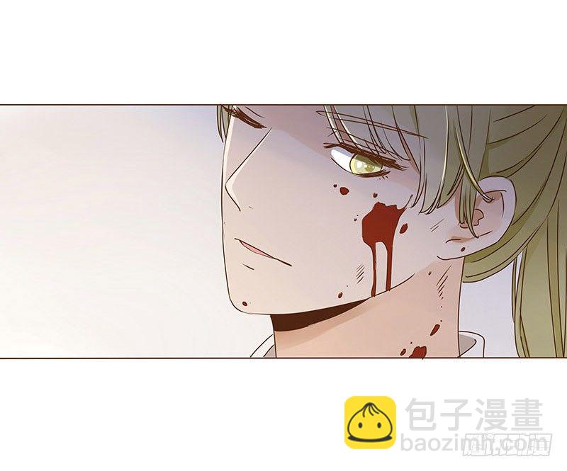 二十二章 回击(1/2)-第22话