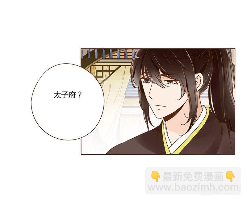 三十二章 拜访太子府(1/2)-第32话